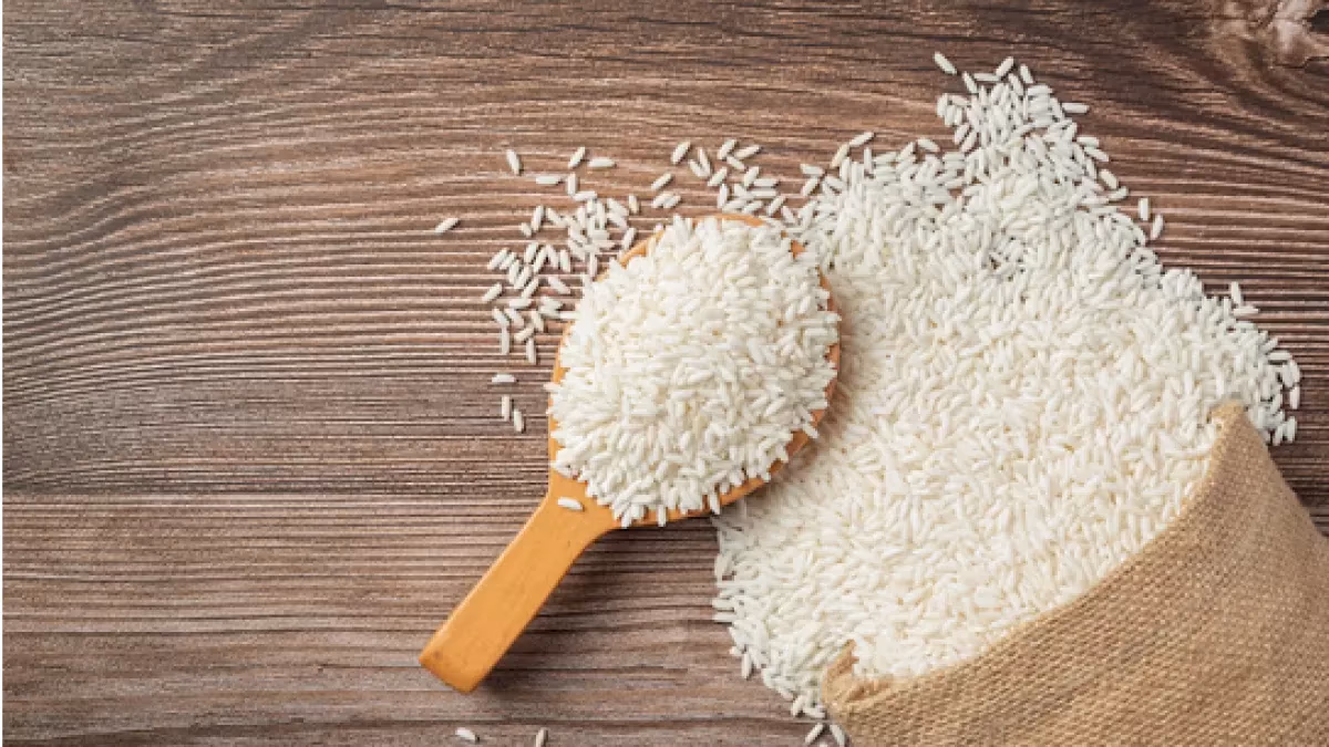 Arroz atinge maior preço em 11 meses com oferta restrita no RS