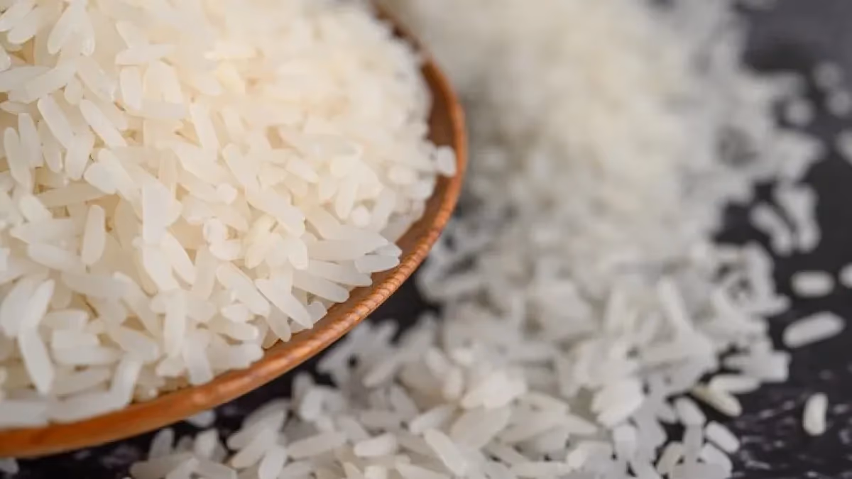 Arroz: preços caem e exportações reagem após abril