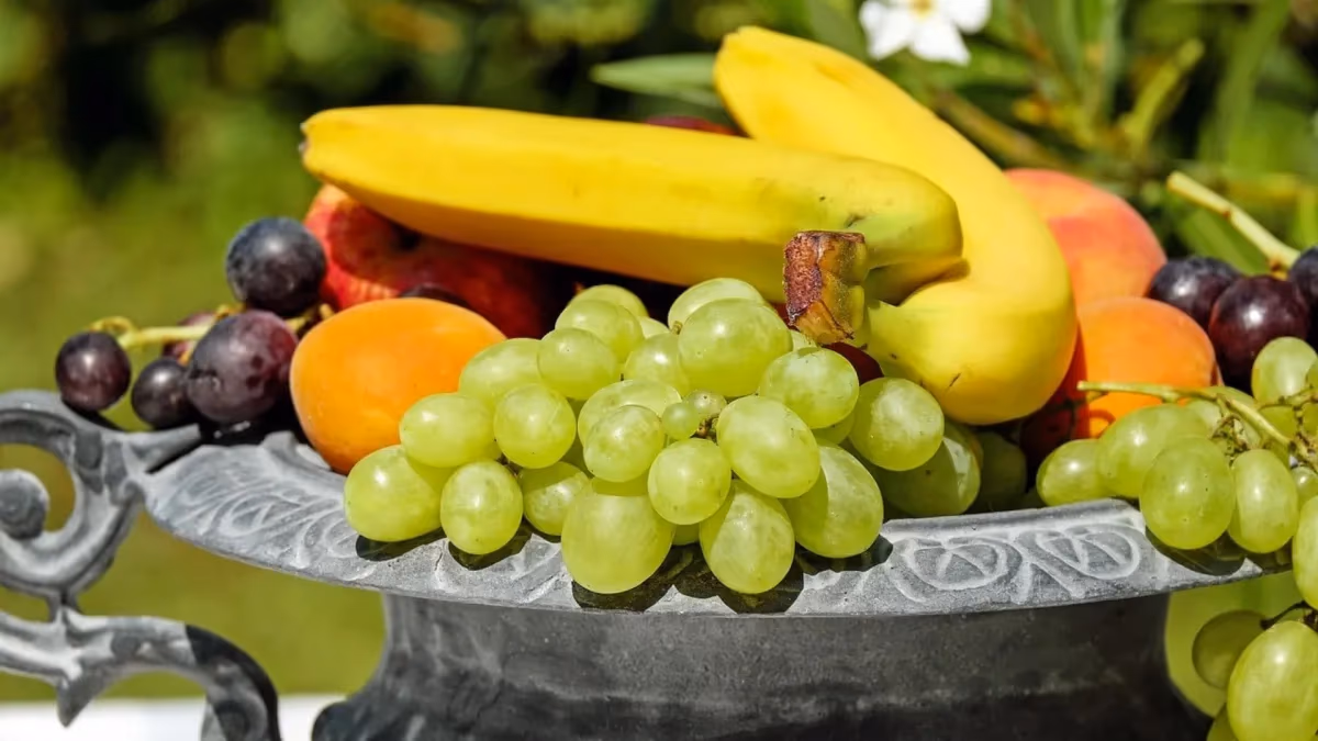 Brasil tem potencial para exportar mais frutas, diz Abrafrutas