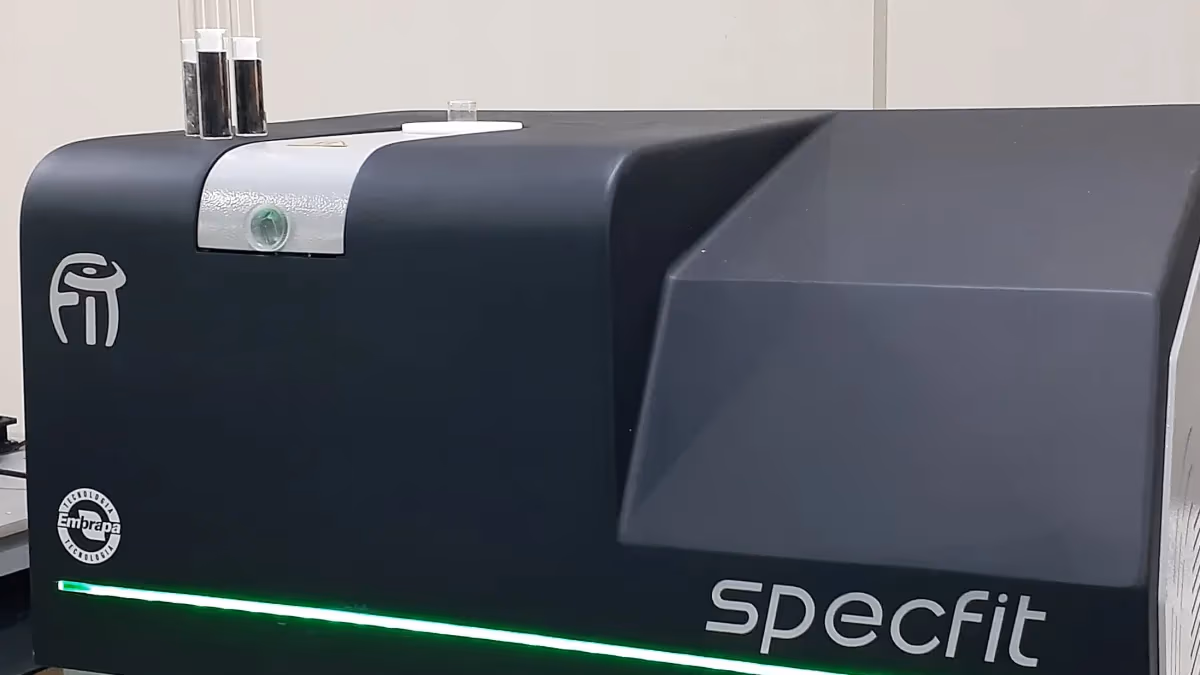 Brasil vende tecnologia de óleo de girassol à Ucrânia