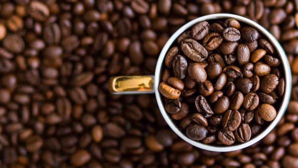 Café: exportações caem 18%, mas receita se mantém