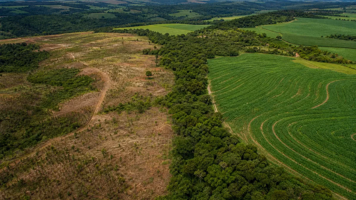 Caminho Verde Brasil é destaque em fórum internacional do agro
