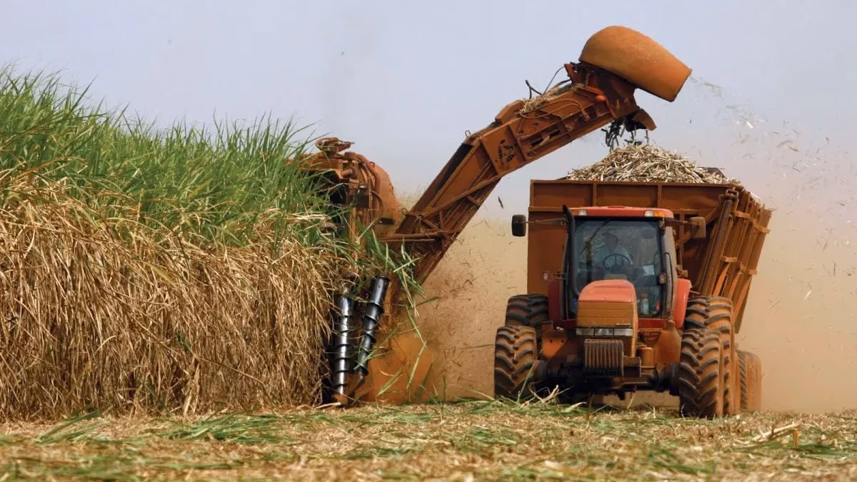 Governo publica MP para produtores de cana afetados por tarifaço