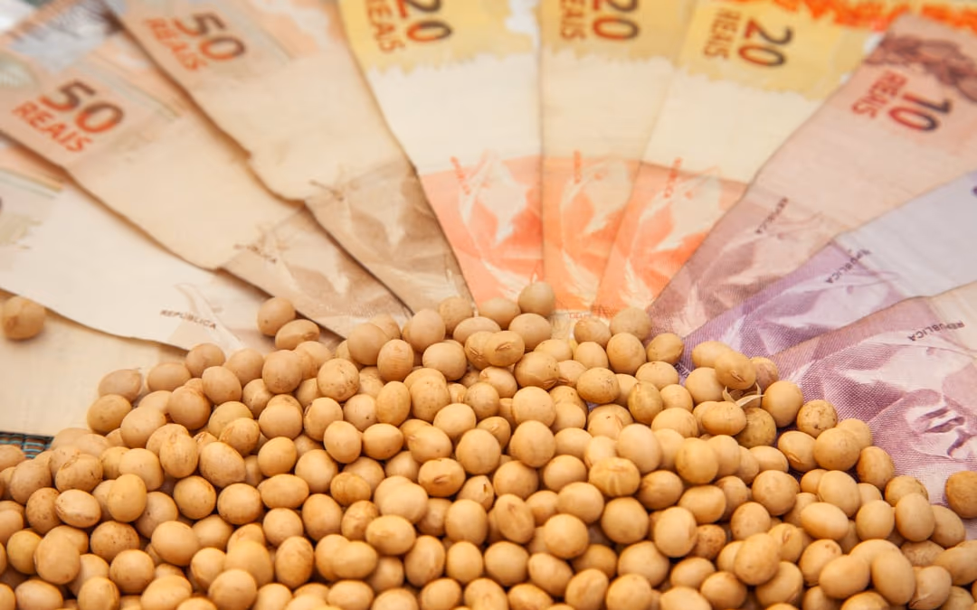 Mercado de soja travado no Brasil com produtor retraído