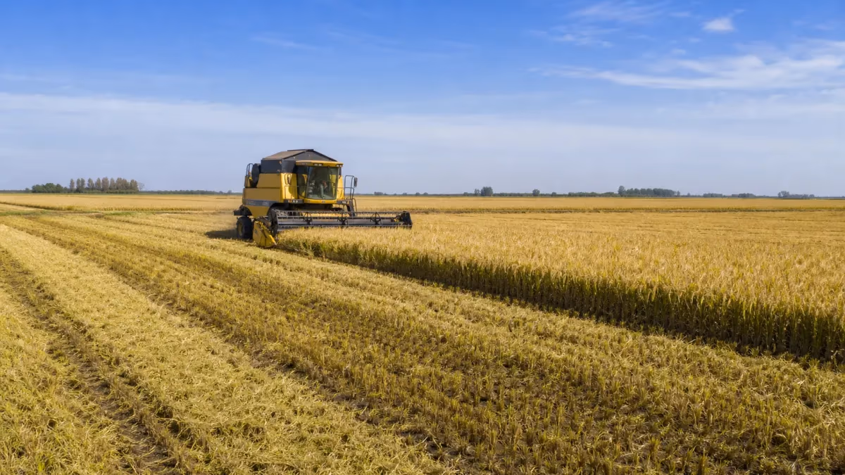 Plano Safra: juros altos e dúvidas no crédito rural