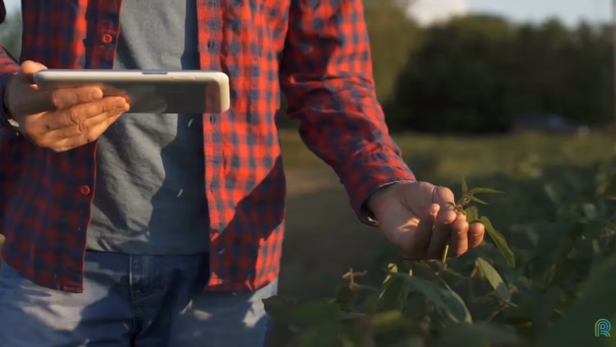 Presidente da Embrapa: Agricultura do futuro será digital