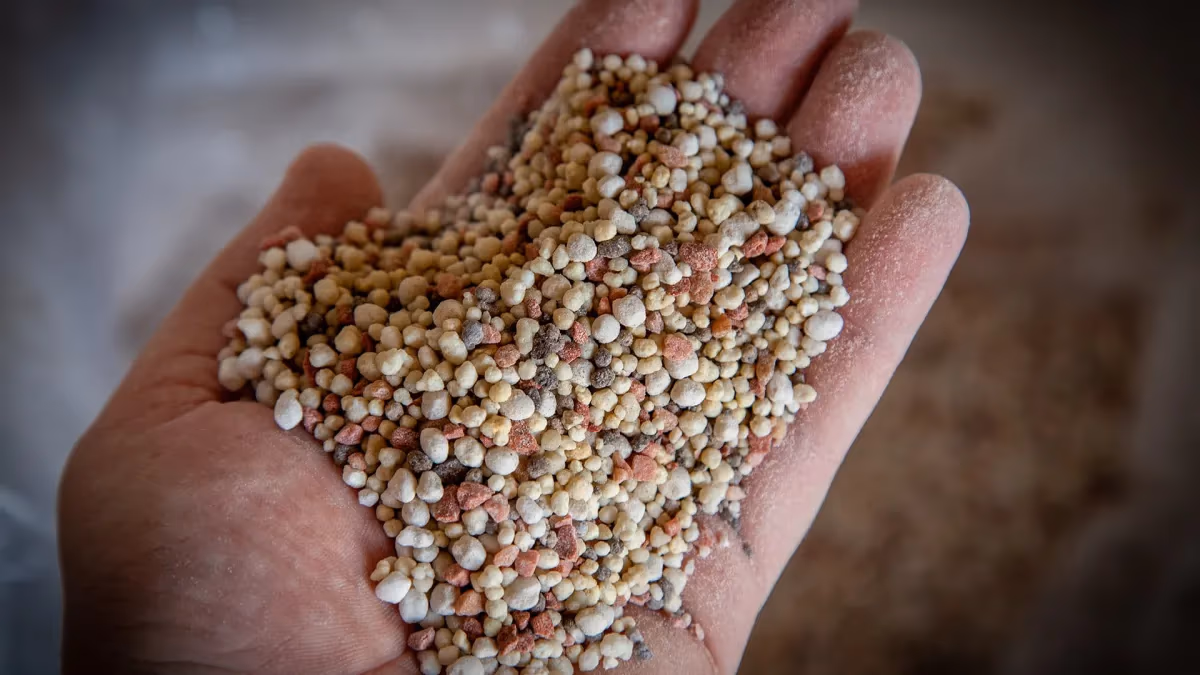 Queda na importação de fertilizantes impulsiona indústria nacional