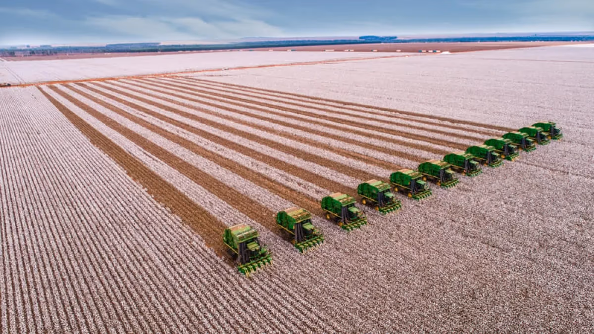 Imagem do artigo: SLC Agrícola: receita recorde de R$ 2,2 bi e lucro 75% maior
