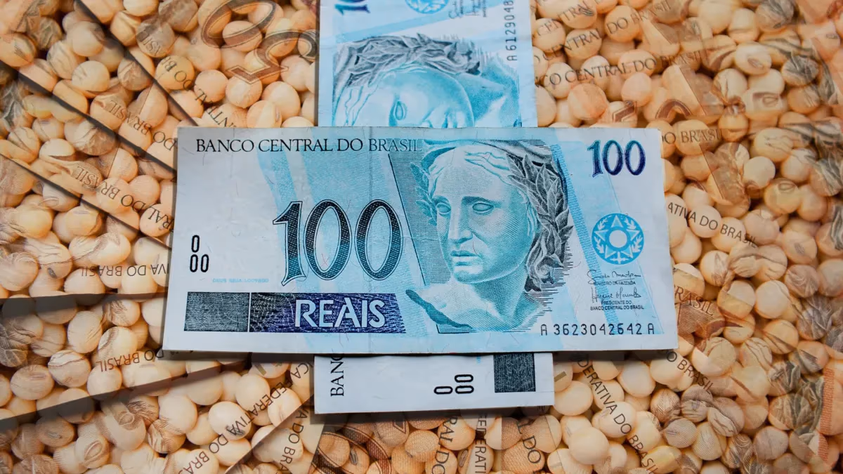 Soja: cotações fecham estáveis com demanda regional