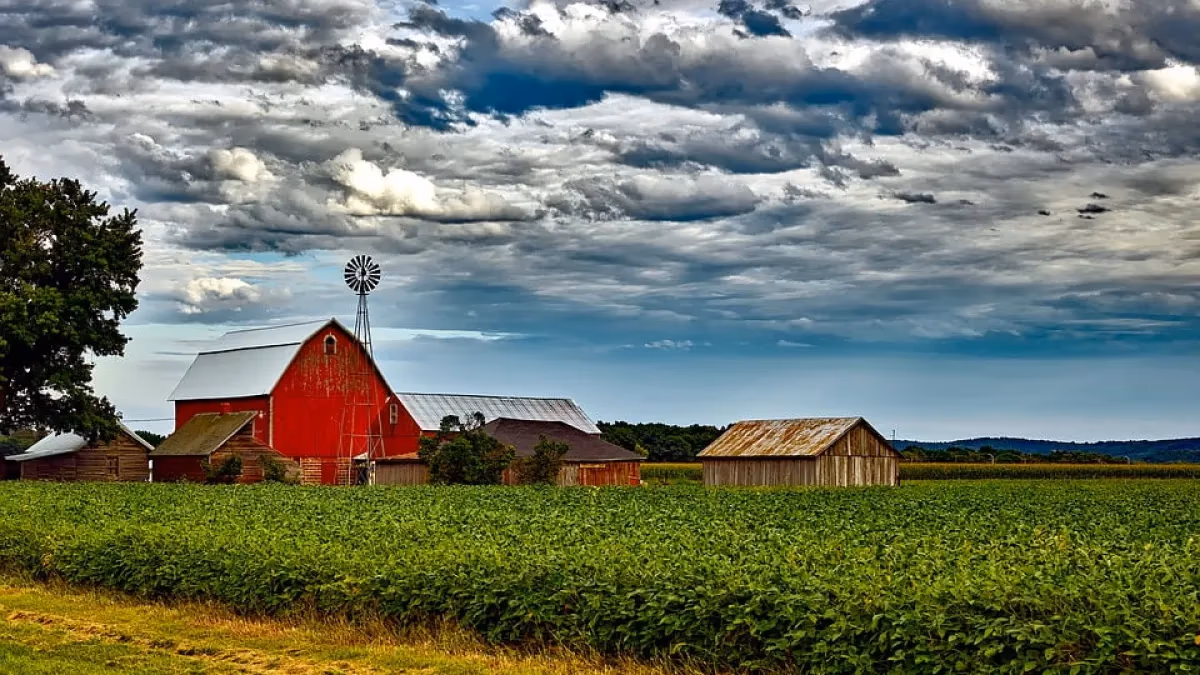 USDA: área de soja nos EUA cresce 5% e vai a 85,4 mi de acres